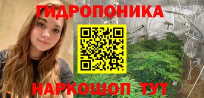 прущие крисы Бийск