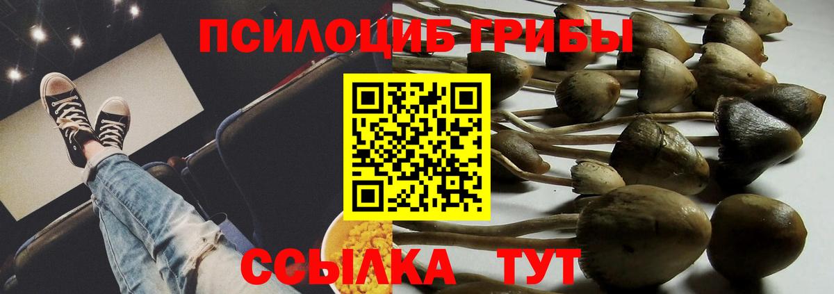 Балашиха  Галлюциногенные грибы мухоморы  Вход с VPN 