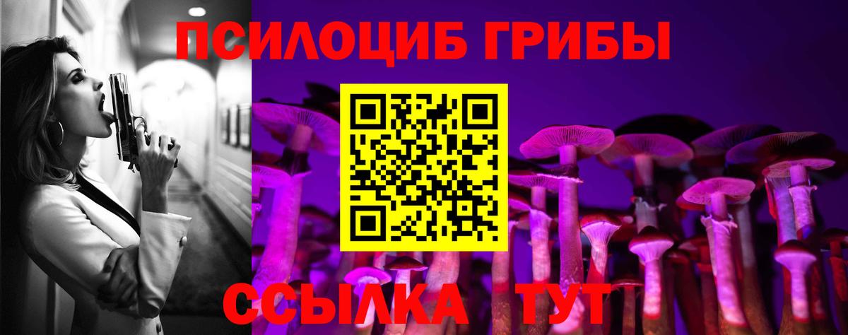 Галлюциногенные грибы Psilocybine cubensis Балашиха